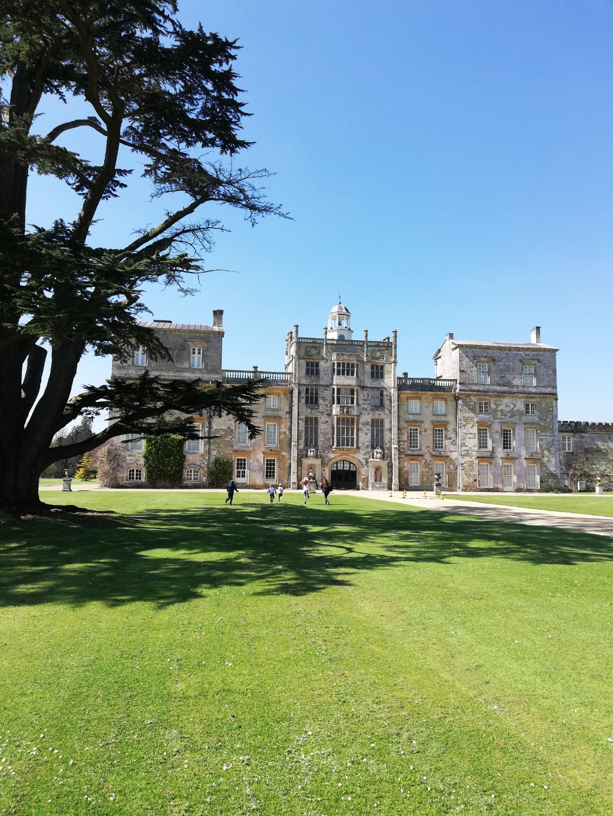 Wilton House's adventure playground opens for half term in rare move
